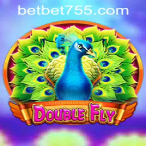 DoubleFly: A Thrilling Adventure in the Gaming Universe